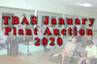 TBAS-January-2020-1