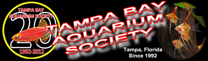 TBAS Logo