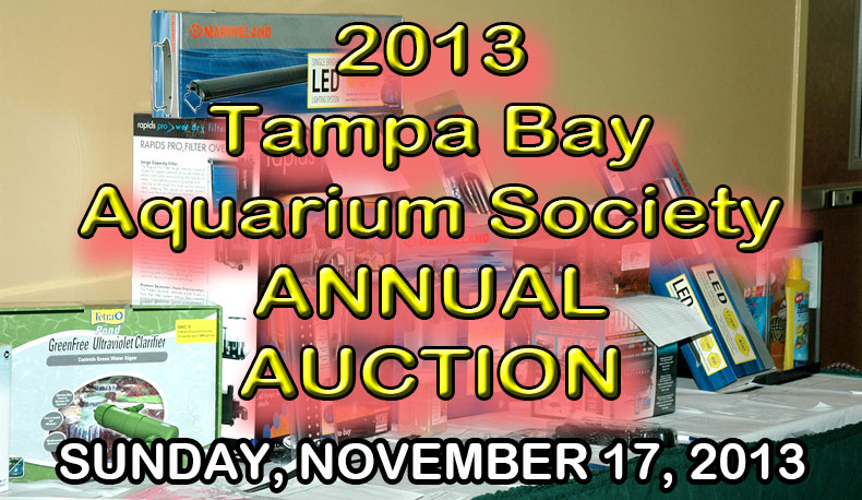 auction logo